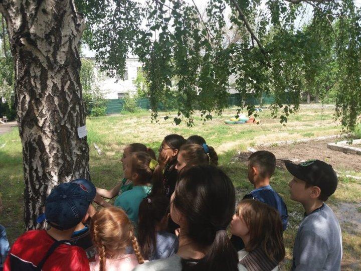 Пришкольный лагерь