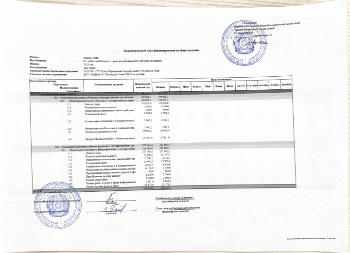 Индивидуальный план финансирования на 2025 год